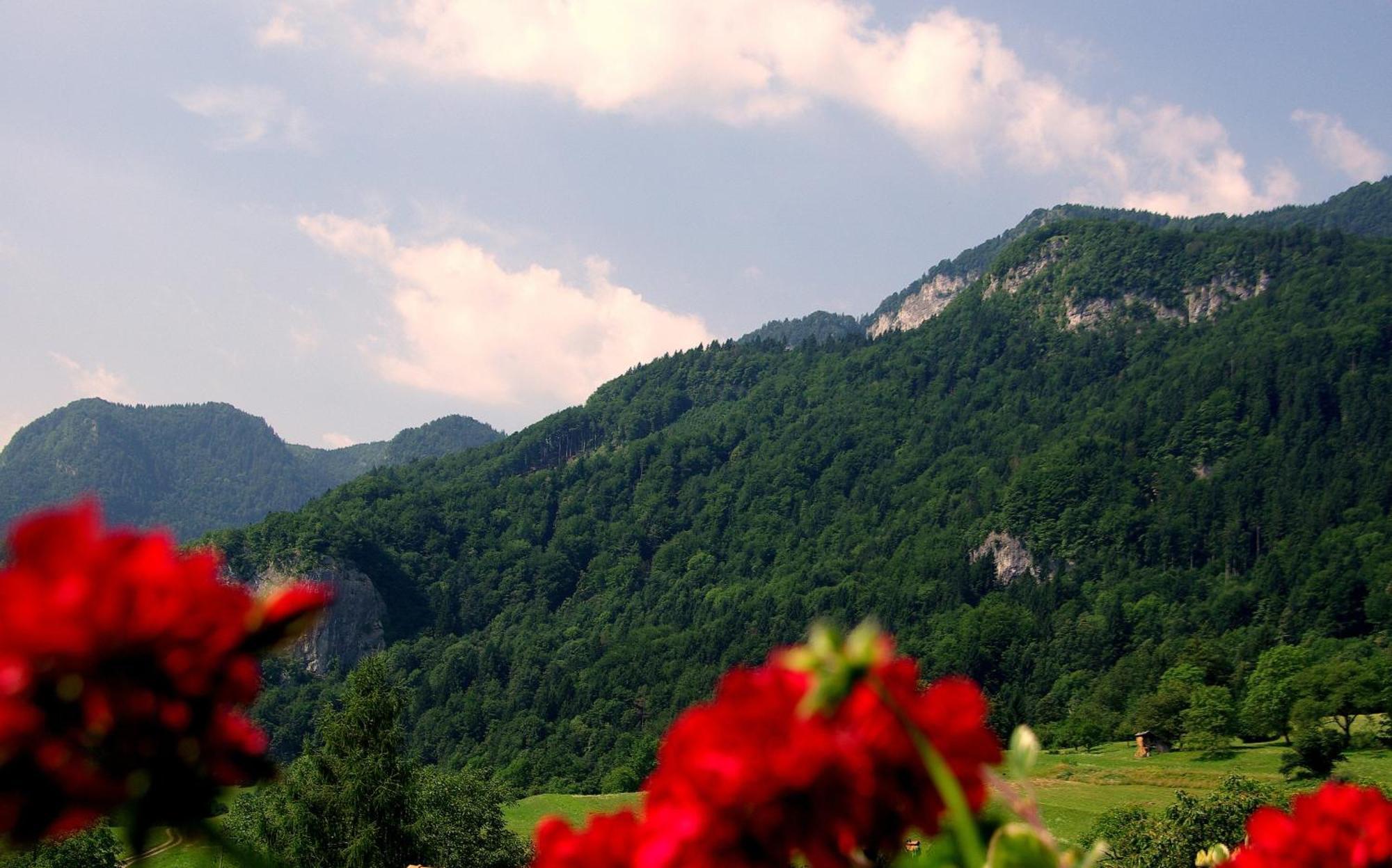 Pr Bevc Hotel Bled Buitenkant foto